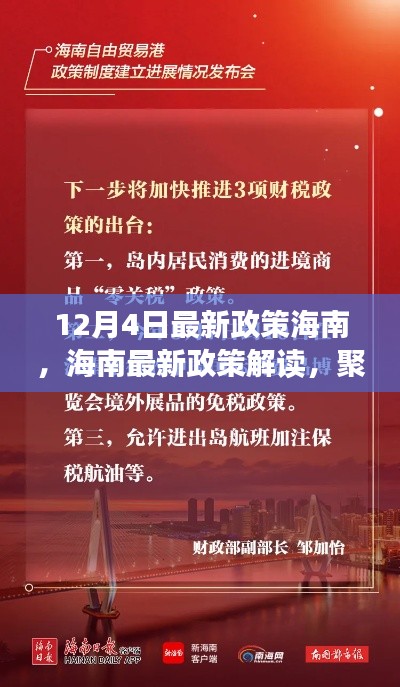 海南最新政策解读，聚焦十二月四日的新动向
