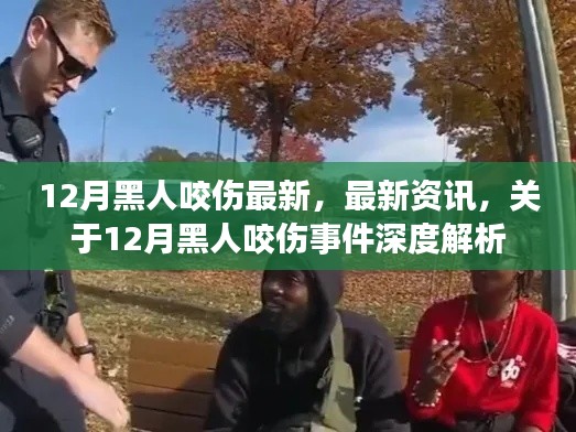 深度解析，关于12月黑人咬伤事件最新资讯与深度报道