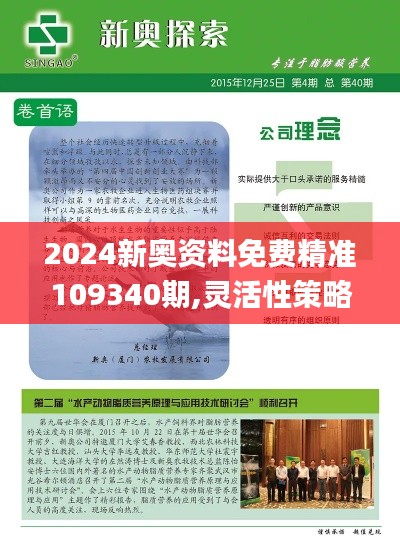 2024新奥资料免费精准109340期,灵活性策略解析_V65.374-7
