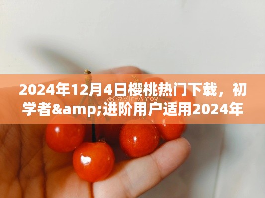 2024年樱桃热门下载全攻略，适合初学者与进阶用户的下载指南