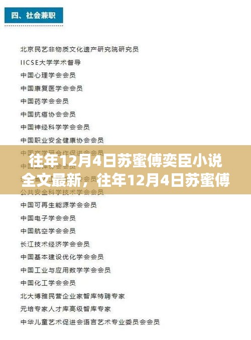 往年12月4日苏蜜傅奕臣小说，情感交织的冬日恋曲