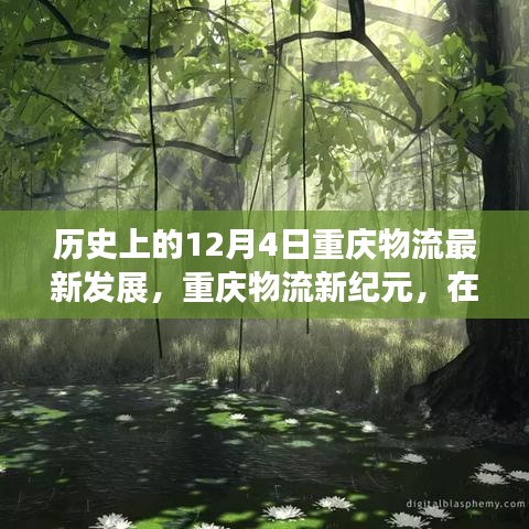 重庆物流新纪元，历史发展、自然探索与内心宁静之旅