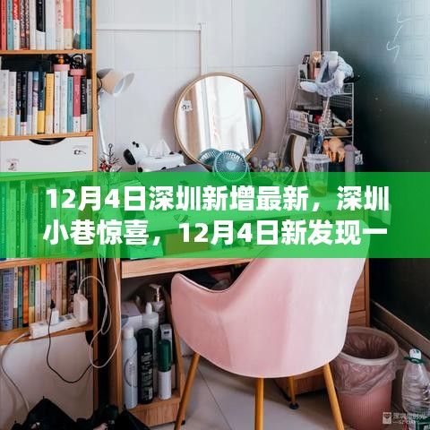 深圳小巷特色小店独特魅力揭秘，最新发现与惊喜（12月4日更新）