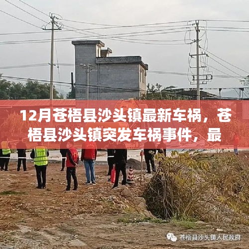 苍梧县沙头镇突发车祸事件深度解析，最新情况及后续关注