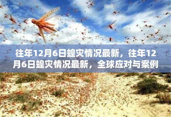 寥若晨星 第5页