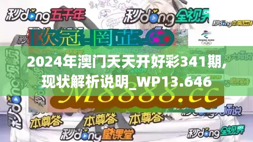 2024年澳门天天开好彩341期,现状解析说明_WP13.646