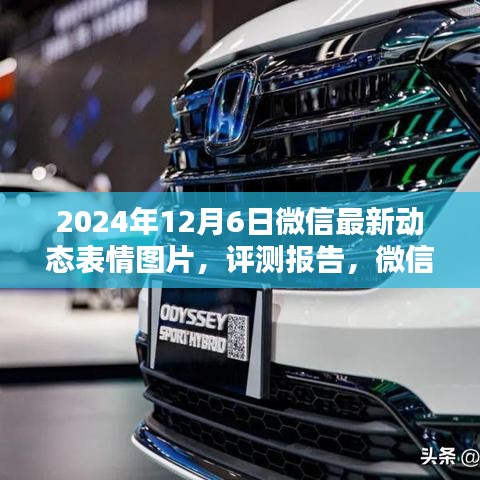 评测报告