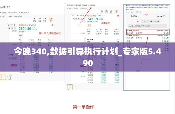 今晚340,数据引导执行计划_专家版5.490