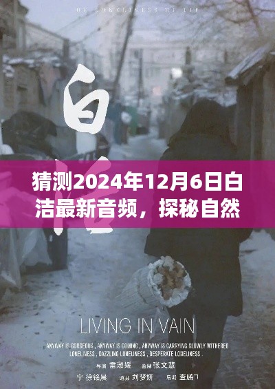 探秘白洁2024年12月6日音频之旅，自然之声的预测与揭秘