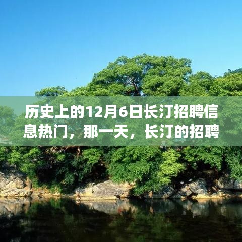 威风凛凛 第4页