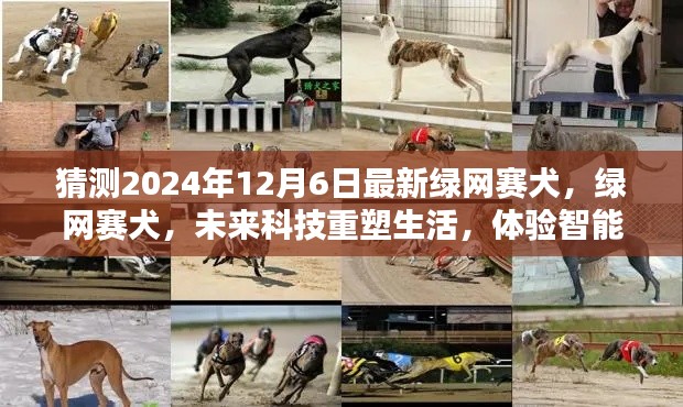未来科技重塑生活，绿网赛犬智能新纪元体验，预测2024年最新趋势（绿网赛犬赛况展望）