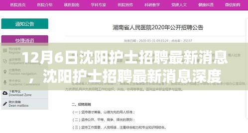 12月6日沈阳护士招聘最新消息，沈阳护士招聘最新消息深度评测与介绍