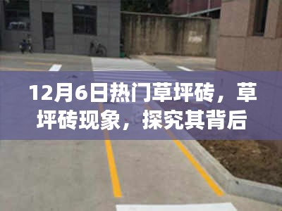 环肥燕瘦 第5页