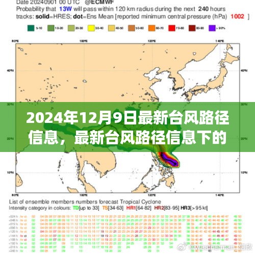 最新台风路径信息下的应对策略与立场选择，2024年台风观察报告