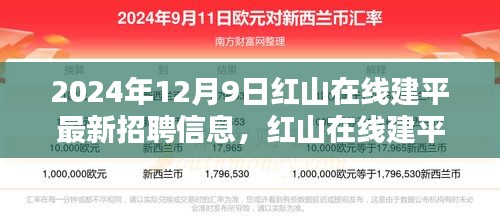 红山在线建平最新招聘风暴，行业新动向揭秘，把握就业机会