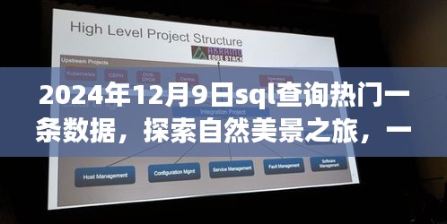 探索自然美景之旅，一条SQL查询背后的故事与心灵觉醒之旅