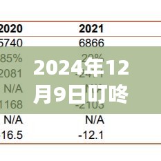 叮咚买菜智能配送革新，实时地图功能展望与叮咚买菜在2024年12月9日的实时地图应用展望