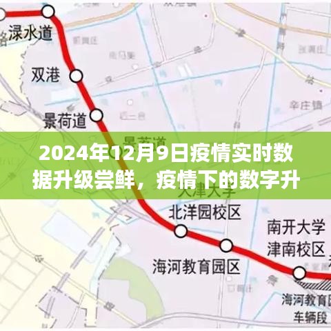 疫情下的数字升级，家庭时光的新体验
