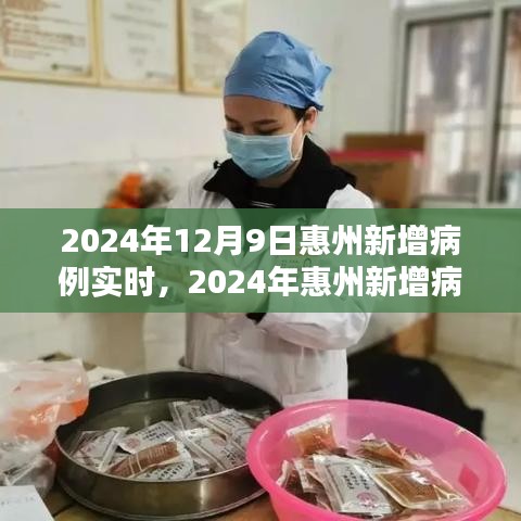 掌握最新疫情动态，2024年惠州新增病例实时关注指南