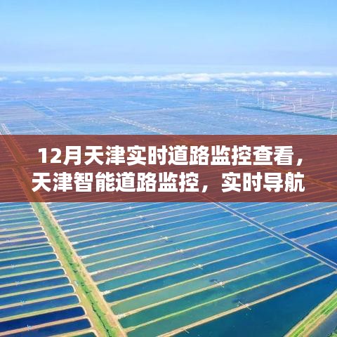 逆风飞扬 第5页