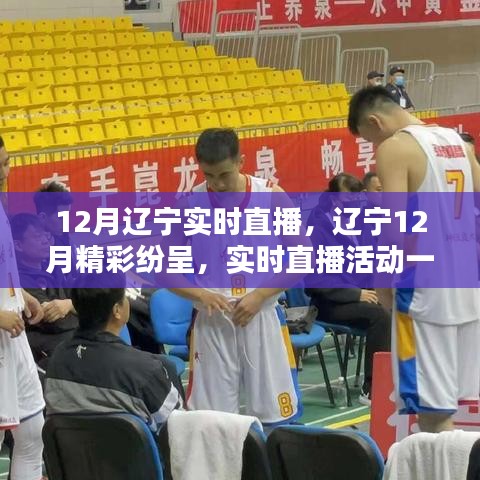 辽宁精彩纷呈的十二月实时直播活动概览