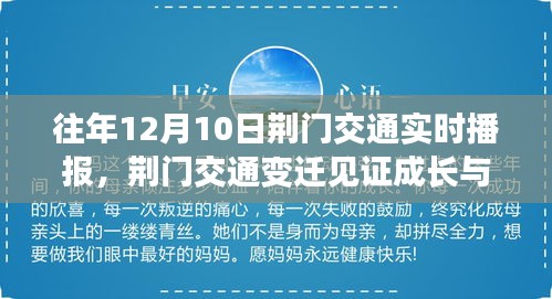 一张一弛 第4页