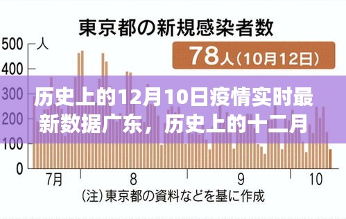 广东疫情下的自然探索之旅，历史与当下的交汇点寻找内心的宁静与平和