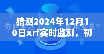 XRF实时监测步骤指南