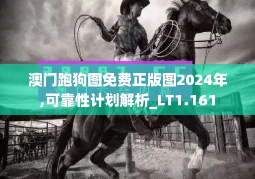 澳门跑狗图免费正版图2024年,可靠性计划解析_LT1.161
