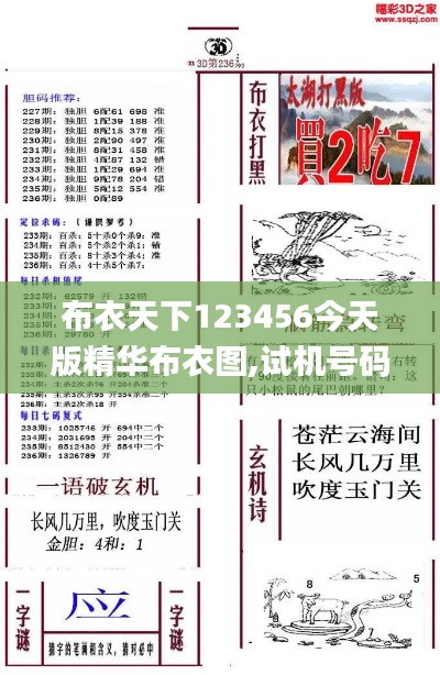 布衣天下123456今天版精华布衣图,试机号码,理论分析解析说明_android6.840