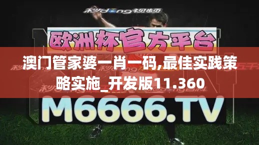 澳门管家婆一肖一码,最佳实践策略实施_开发版11.360