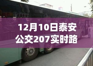 泰安公交207实时路线查询详解，最新信息一览（12月10日更新）