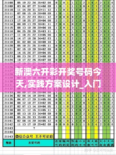 新澳六开彩开奖号码今天,实践方案设计_入门版10.425
