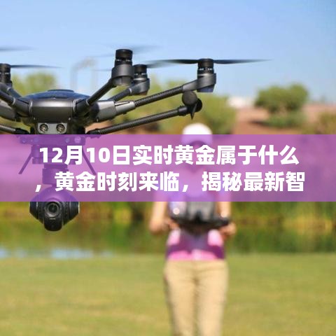 熊经鸟伸 第5页