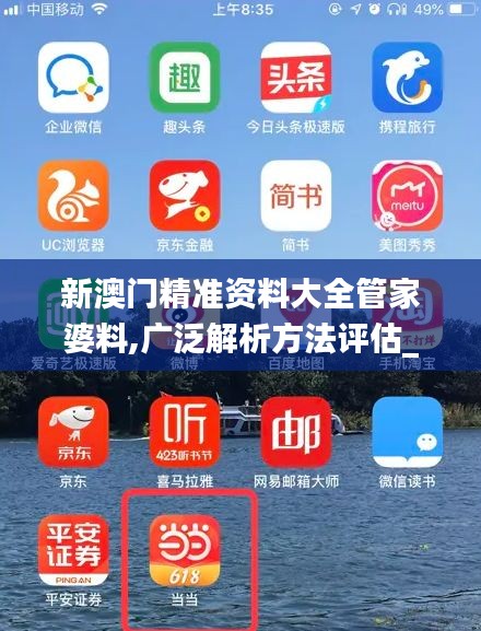 新澳门精准资料大全管家婆料,广泛解析方法评估_XP1.443