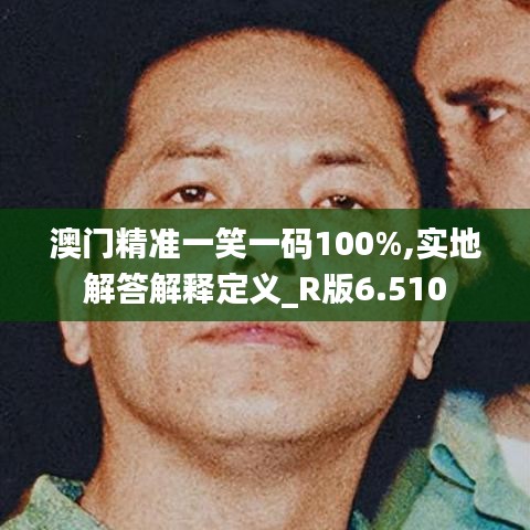 澳门精准一笑一码100%,实地解答解释定义_R版6.510