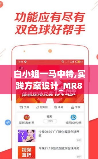 白小姐一马中特,实践方案设计_MR8.728