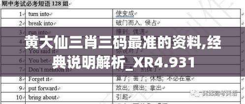 黄大仙三肖三码最准的资料,经典说明解析_XR4.931