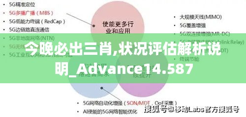 今晚必出三肖,状况评估解析说明_Advance14.587