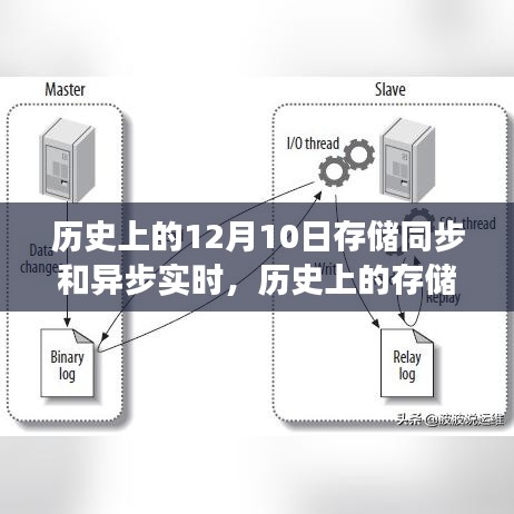 明目张胆 第5页