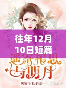 十二月十日言情小说实时排行榜，爱在温馨日常的甜蜜篇章