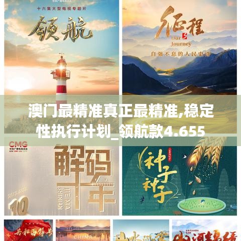 澳门最精准真正最精准,稳定性执行计划_领航款4.655