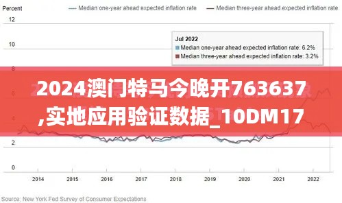 2024澳门特马今晚开763637,实地应用验证数据_10DM17.321