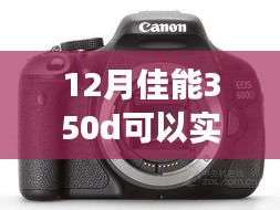 佳能350D冬日拍摄之旅，实时捕捉温馨日常
