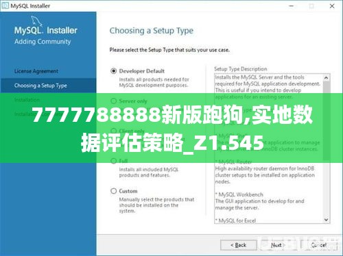7777788888新版跑狗,实地数据评估策略_Z1.545