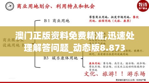 澳门正版资料免费精准,迅速处理解答问题_动态版8.873