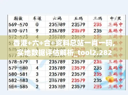 香港+六+合+资料总站一肖一码,实地数据评估解析_tool2.282