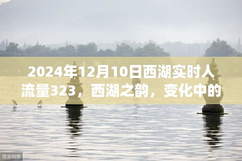 自信与成就感源泉