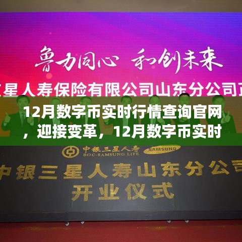 12月数字币实时行情查询官网，开启财富之旅，拥抱变革与学习之力