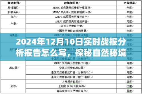 探秘自然秘境，心灵之旅与实时战报分析报告攻略（附2024年12月10日实时战报分析）